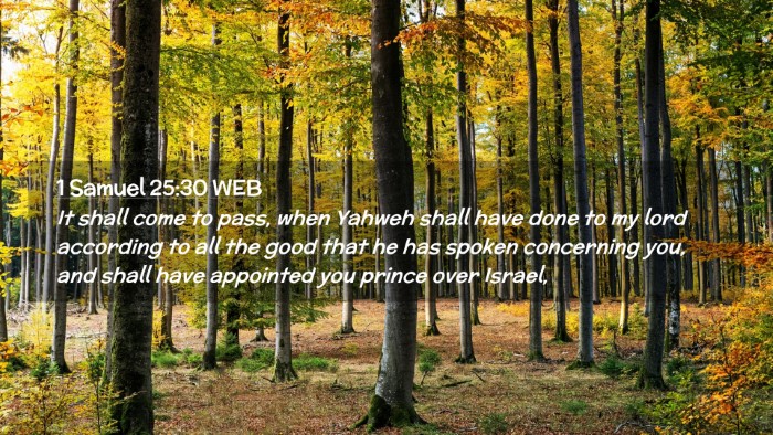 Picture 02 - 1 Samuel 25:30 WEB Desktop Wallpaper - It shall come to pass, when Yahweh shall have - Desktop Bible Verse Wallpaper