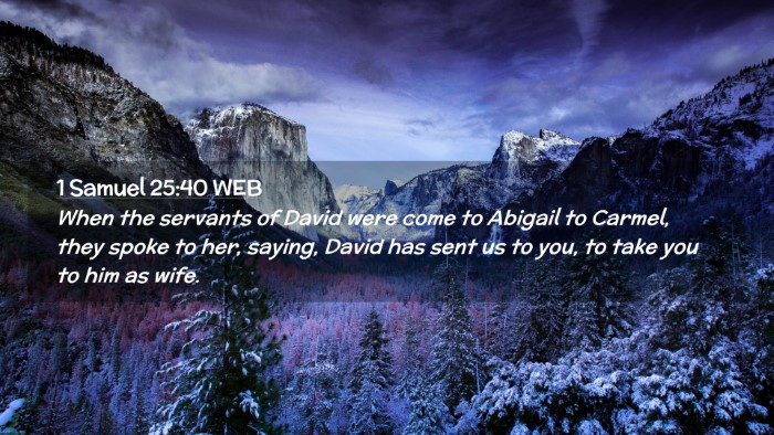 Picture 02 - 1 Samuel 25:40 WEB Desktop Wallpaper - When the servants of David were come to Abigail - Desktop Bible Verse Wallpaper
