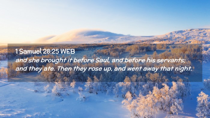 Picture 02 - 1 Samuel 28:25 WEB Desktop Wallpaper - and she brought it before Saul, and before his - Desktop Bible Verse Wallpaper