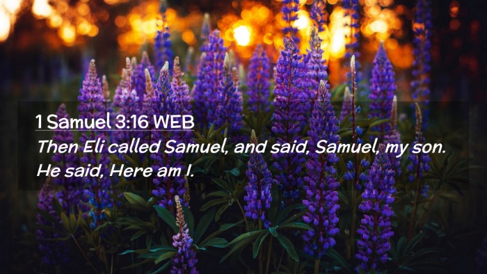 Picture 02 - 1 Samuel 3:16 WEB Desktop Wallpaper - Then Eli called Samuel, and said, Samuel, my son. - Desktop Bible Verse Wallpaper