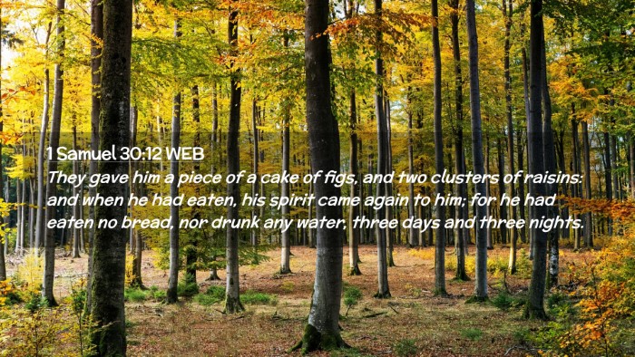 Picture 02 - 1 Samuel 30:12 WEB Desktop Wallpaper - They gave him a piece of a cake of figs, and two - Desktop Bible Verse Wallpaper