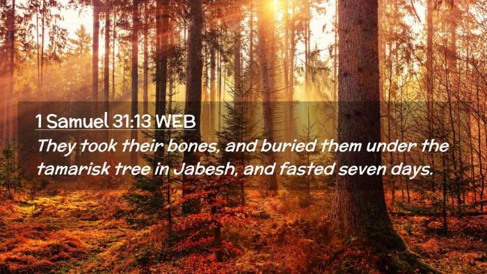 Picture 02 - 1 Samuel 31:13 WEB Desktop Wallpaper - They took their bones, and buried them under the - Desktop Bible Verse Wallpaper