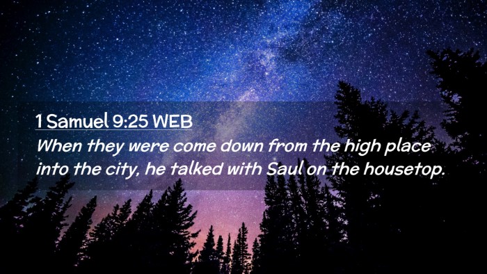 Picture 02 - 1 Samuel 9:25 WEB Desktop Wallpaper - When they were come down from the high place into - Desktop Bible Verse Wallpaper