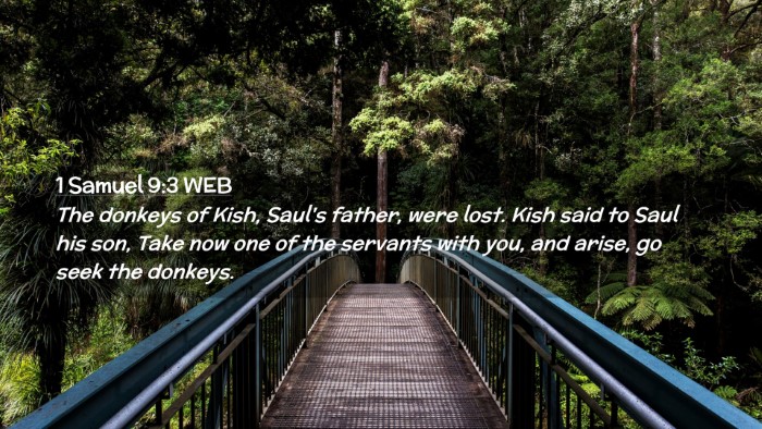 Picture 02 - 1 Samuel 9:3 WEB Desktop Wallpaper - The donkeys of Kish, Saul's father, were lost. - Desktop Bible Verse Wallpaper