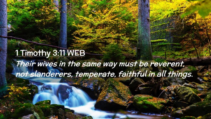 Picture 02 - 1 Timothy 3:11 WEB Desktop Wallpaper - Their wives in the same way must be reverent, not - Desktop Bible Verse Wallpaper
