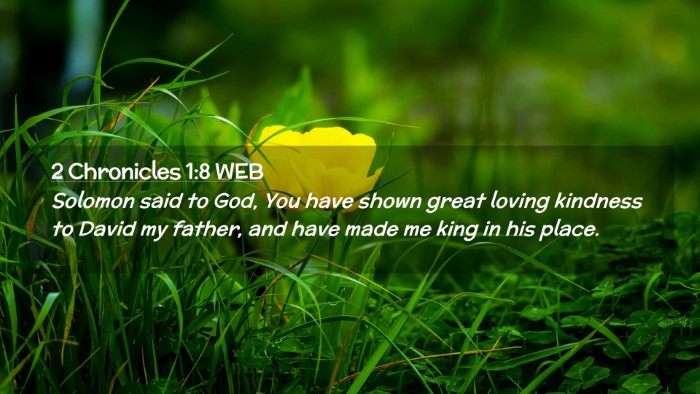 Picture 02 - 2 Chronicles 1:8 WEB Desktop Wallpaper - Solomon said to God, You have shown great loving - Desktop Bible Verse Wallpaper