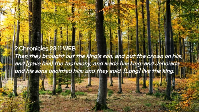 Picture 02 - 2 Chronicles 23:11 WEB Desktop Wallpaper - Then they brought out the king's son, and put the - Desktop Bible Verse Wallpaper