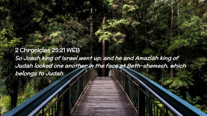 Picture 02 - 2 Chronicles 25:21 WEB Desktop Wallpaper - So Joash king of Israel went up; and he and - Desktop Bible Verse Wallpaper