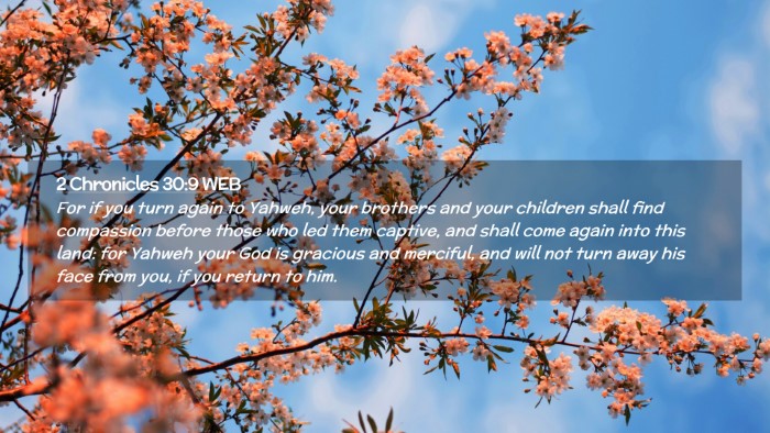 Picture 02 - 2 Chronicles 30:9 WEB Desktop Wallpaper - For if you turn again to Yahweh, your brothers - Desktop Bible Verse Wallpaper