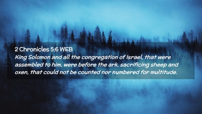 Picture 02 - 2 Chronicles 5:6 WEB Desktop Wallpaper - King Solomon and all the congregation of Israel, - Desktop Bible Verse Wallpaper