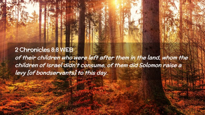 Picture 02 - 2 Chronicles 8:8 WEB Desktop Wallpaper - of their children who were left after them in the - Desktop Bible Verse Wallpaper