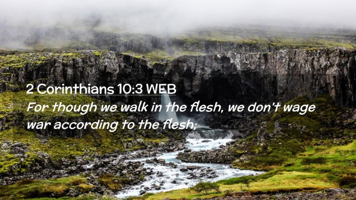 Picture 02 - 2 Corinthians 10:3 WEB Desktop Wallpaper - For though we walk in the flesh, we don't wage - Desktop Bible Verse Wallpaper