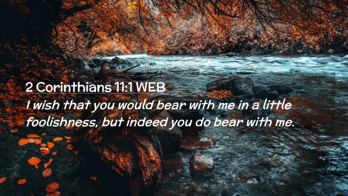 Picture 02 - 2 Corinthians 11:1 WEB Desktop Wallpaper - I wish that you would bear with me in a little - Desktop Bible Verse Wallpaper