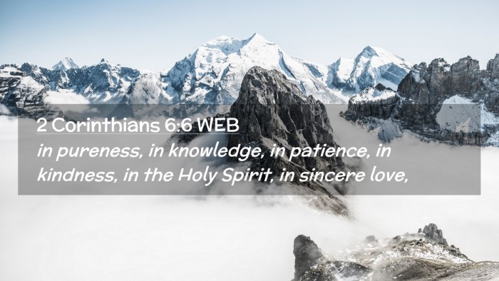Picture 02 - 2 Corinthians 6:6 WEB Desktop Wallpaper - in pureness, in knowledge, in patience, in - Desktop Bible Verse Wallpaper