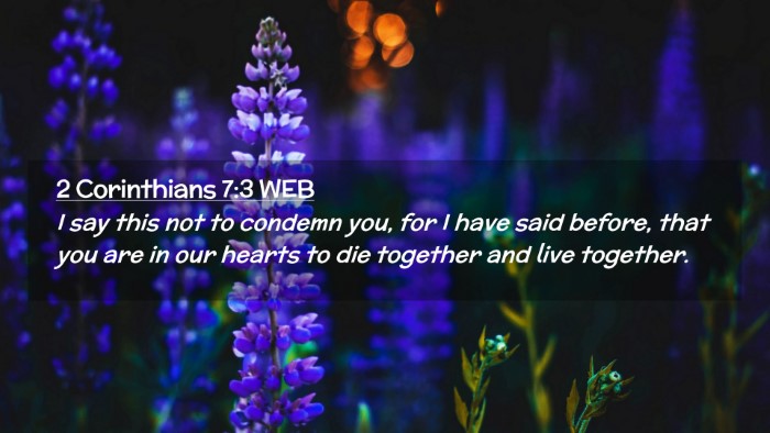 Picture 02 - 2 Corinthians 7:3 WEB Desktop Wallpaper - I say this not to condemn you, for I have said - Desktop Bible Verse Wallpaper