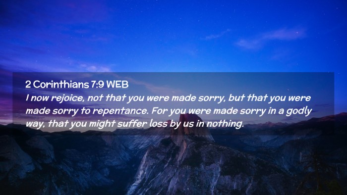 Picture 02 - 2 Corinthians 7:9 WEB Desktop Wallpaper - I now rejoice, not that you were made sorry, but - Desktop Bible Verse Wallpaper