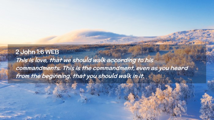 Picture 02 - 2 John 1:6 WEB Desktop Wallpaper - This is love, that we should walk according to - Desktop Bible Verse Wallpaper
