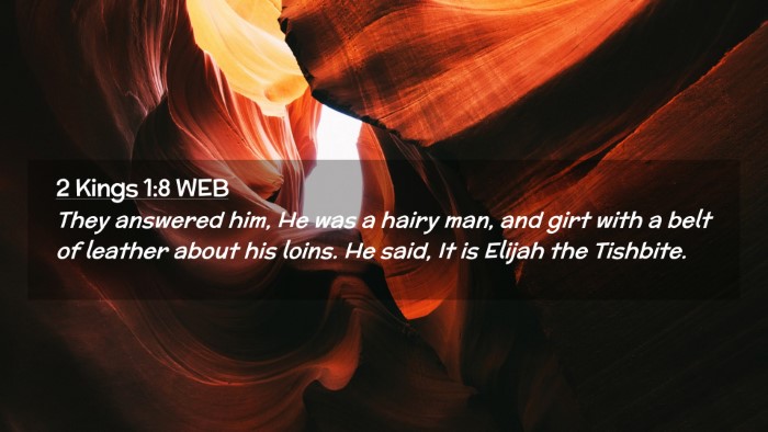 Picture 02 - 2 Kings 1:8 WEB Desktop Wallpaper - They answered him, He was a hairy man, and girt - Desktop Bible Verse Wallpaper