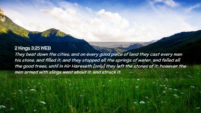 Picture 02 - 2 Kings 3:25 WEB Desktop Wallpaper - They beat down the cities; and on every good - Desktop Bible Verse Wallpaper