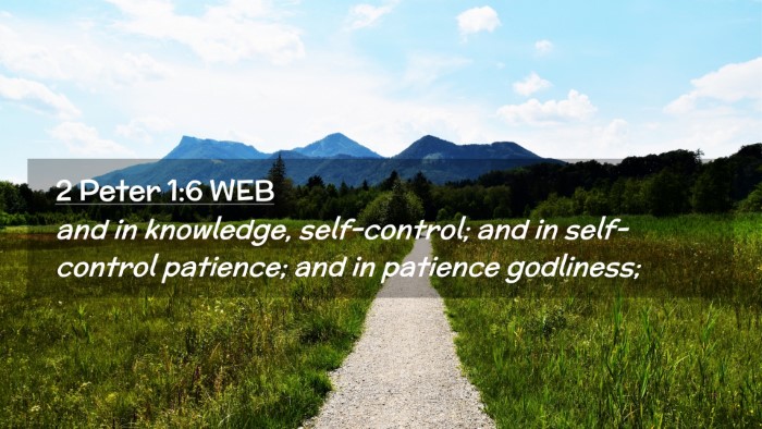 Picture 02 - 2 Peter 1:6 WEB Desktop Wallpaper - and in knowledge, self-control; and in - Desktop Bible Verse Wallpaper