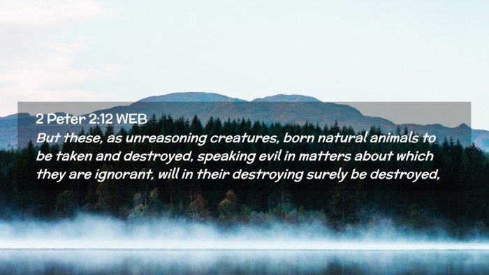 Picture 02 - 2 Peter 2:12 WEB Desktop Wallpaper - But these, as unreasoning creatures, born natural - Desktop Bible Verse Wallpaper