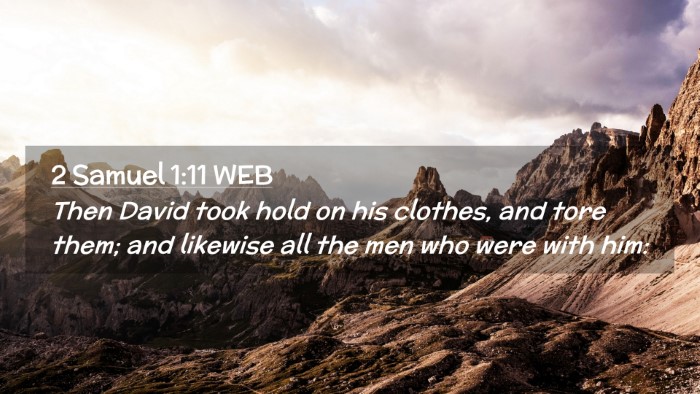 Picture 02 - 2 Samuel 1:11 WEB Desktop Wallpaper - Then David took hold on his clothes, and tore - Desktop Bible Verse Wallpaper