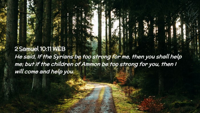 Picture 02 - 2 Samuel 10:11 WEB Desktop Wallpaper - He said, If the Syrians be too strong for me, - Desktop Bible Verse Wallpaper