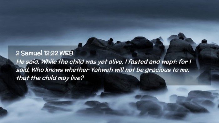 Picture 02 - 2 Samuel 12:22 WEB Desktop Wallpaper - He said, While the child was yet alive, I fasted - Desktop Bible Verse Wallpaper