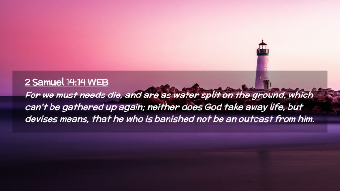 Picture 02 - 2 Samuel 14:14 WEB Desktop Wallpaper - For we must needs die, and are as water split on - Desktop Bible Verse Wallpaper