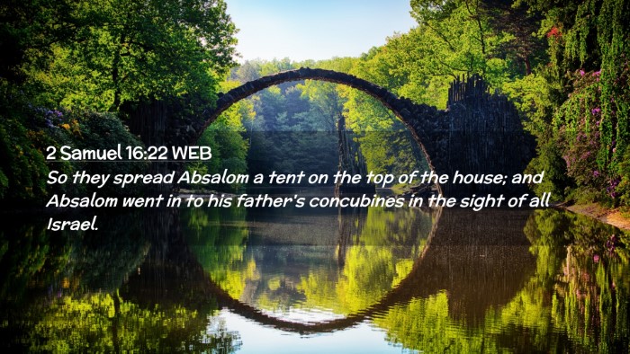 Picture 02 - 2 Samuel 16:22 WEB Desktop Wallpaper - So they spread Absalom a tent on the top of the - Desktop Bible Verse Wallpaper
