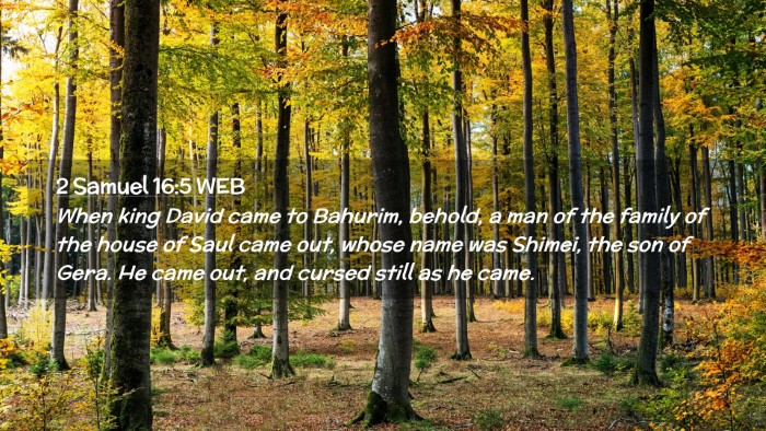 Picture 02 - 2 Samuel 16:5 WEB Desktop Wallpaper - When king David came to Bahurim, behold, a man of - Desktop Bible Verse Wallpaper