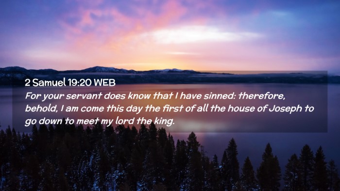 Picture 02 - 2 Samuel 19:20 WEB Desktop Wallpaper - For your servant does know that I have sinned: - Desktop Bible Verse Wallpaper