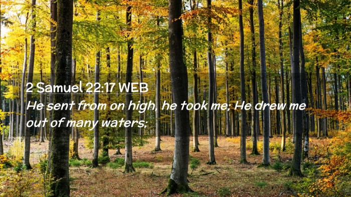 Picture 02 - 2 Samuel 22:17 WEB Desktop Wallpaper - He sent from on high, he took me; He drew me out - Desktop Bible Verse Wallpaper