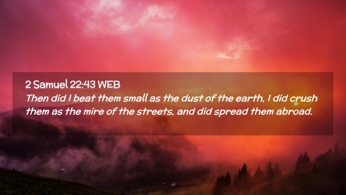 Picture 02 - 2 Samuel 22:43 WEB Desktop Wallpaper - Then did I beat them small as the dust of the - Desktop Bible Verse Wallpaper