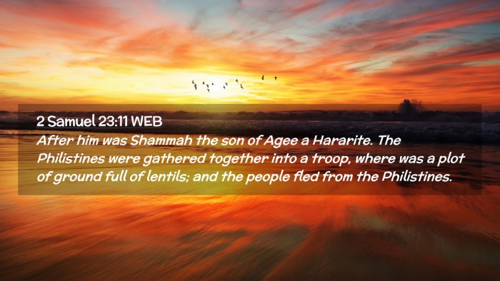 Picture 02 - 2 Samuel 23:11 WEB Desktop Wallpaper - After him was Shammah the son of Agee a Hararite. - Desktop Bible Verse Wallpaper