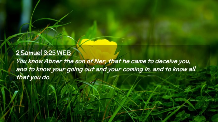 Picture 02 - 2 Samuel 3:25 WEB Desktop Wallpaper - You know Abner the son of Ner, that he came to - Desktop Bible Verse Wallpaper