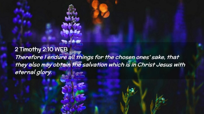 Picture 02 - 2 Timothy 2:10 WEB Desktop Wallpaper - Therefore I endure all things for the chosen - Desktop Bible Verse Wallpaper