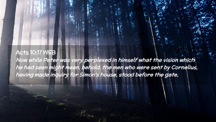 Picture 02 - Acts 10:17 WEB Desktop Wallpaper - Now while Peter was very perplexed in himself - Desktop Bible Verse Wallpaper