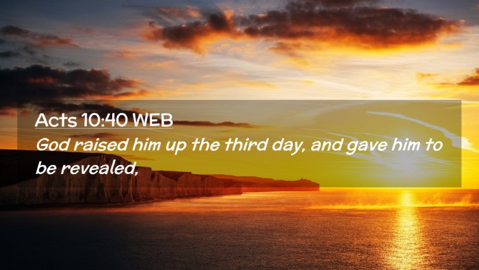 Picture 02 - Acts 10:40 WEB Desktop Wallpaper - God raised him up the third day, and gave him to - Desktop Bible Verse Wallpaper