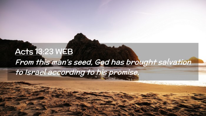Picture 02 - Acts 13:23 WEB Desktop Wallpaper - From this man's seed, God has brought salvation - Desktop Bible Verse Wallpaper