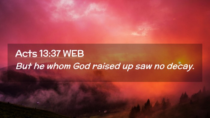 Picture 02 - Acts 13:37 WEB Desktop Wallpaper - But he whom God raised up saw no - Desktop Bible Verse Wallpaper