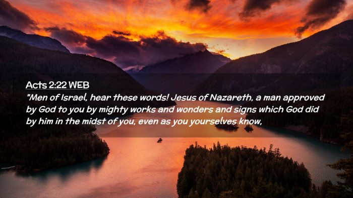 Picture 02 - Acts 2:22 WEB Desktop Wallpaper - 