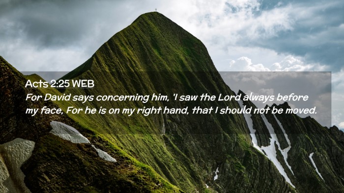 Picture 02 - Acts 2:25 WEB Desktop Wallpaper - For David says concerning him, 'I saw the Lord - Desktop Bible Verse Wallpaper