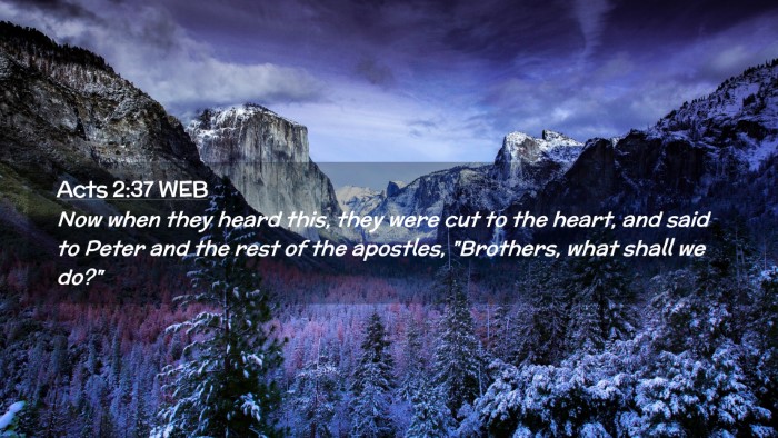 Picture 02 - Acts 2:37 WEB Desktop Wallpaper - Now when they heard this, they were cut to the - Desktop Bible Verse Wallpaper