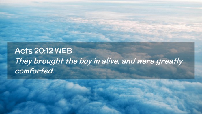 Picture 02 - Acts 20:12 WEB Desktop Wallpaper - They brought the boy in alive, and were greatly - Desktop Bible Verse Wallpaper