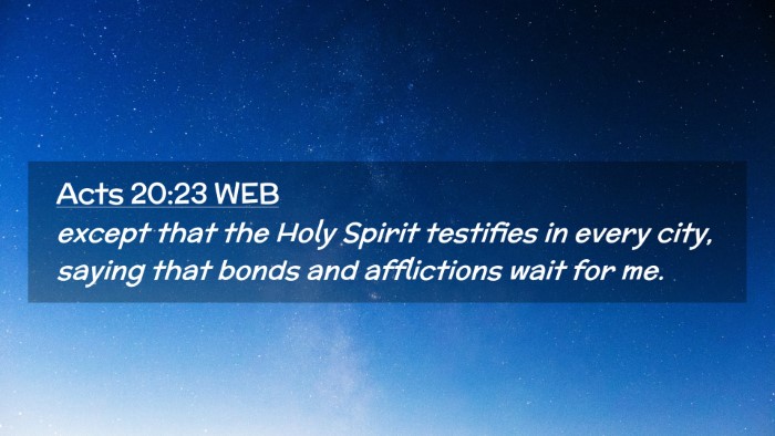 Picture 02 - Acts 20:23 WEB Desktop Wallpaper - except that the Holy Spirit testifies in every - Desktop Bible Verse Wallpaper
