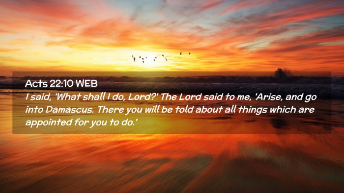 Picture 02 - Acts 22:10 WEB Desktop Wallpaper - I said, 'What shall I do, Lord?' The Lord said to - Desktop Bible Verse Wallpaper