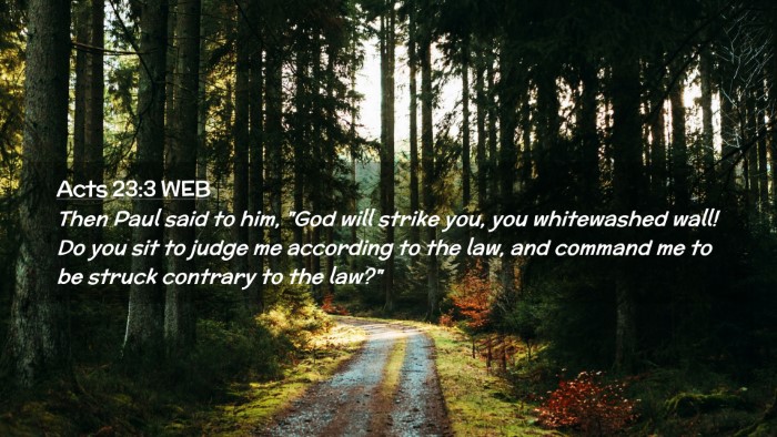 Picture 02 - Acts 23:3 WEB Desktop Wallpaper - Then Paul said to him, 