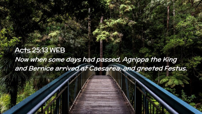Picture 02 - Acts 25:13 WEB Desktop Wallpaper - Now when some days had passed, Agrippa the King - Desktop Bible Verse Wallpaper