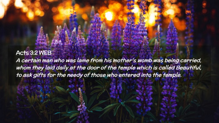 Picture 02 - Acts 3:2 WEB Desktop Wallpaper - A certain man who was lame from his mother's womb - Desktop Bible Verse Wallpaper